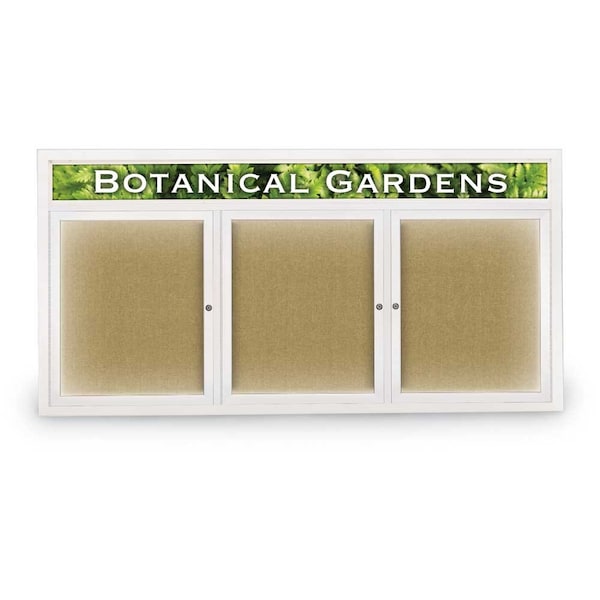 Open Faced Traditional Corkboard, 72x36"